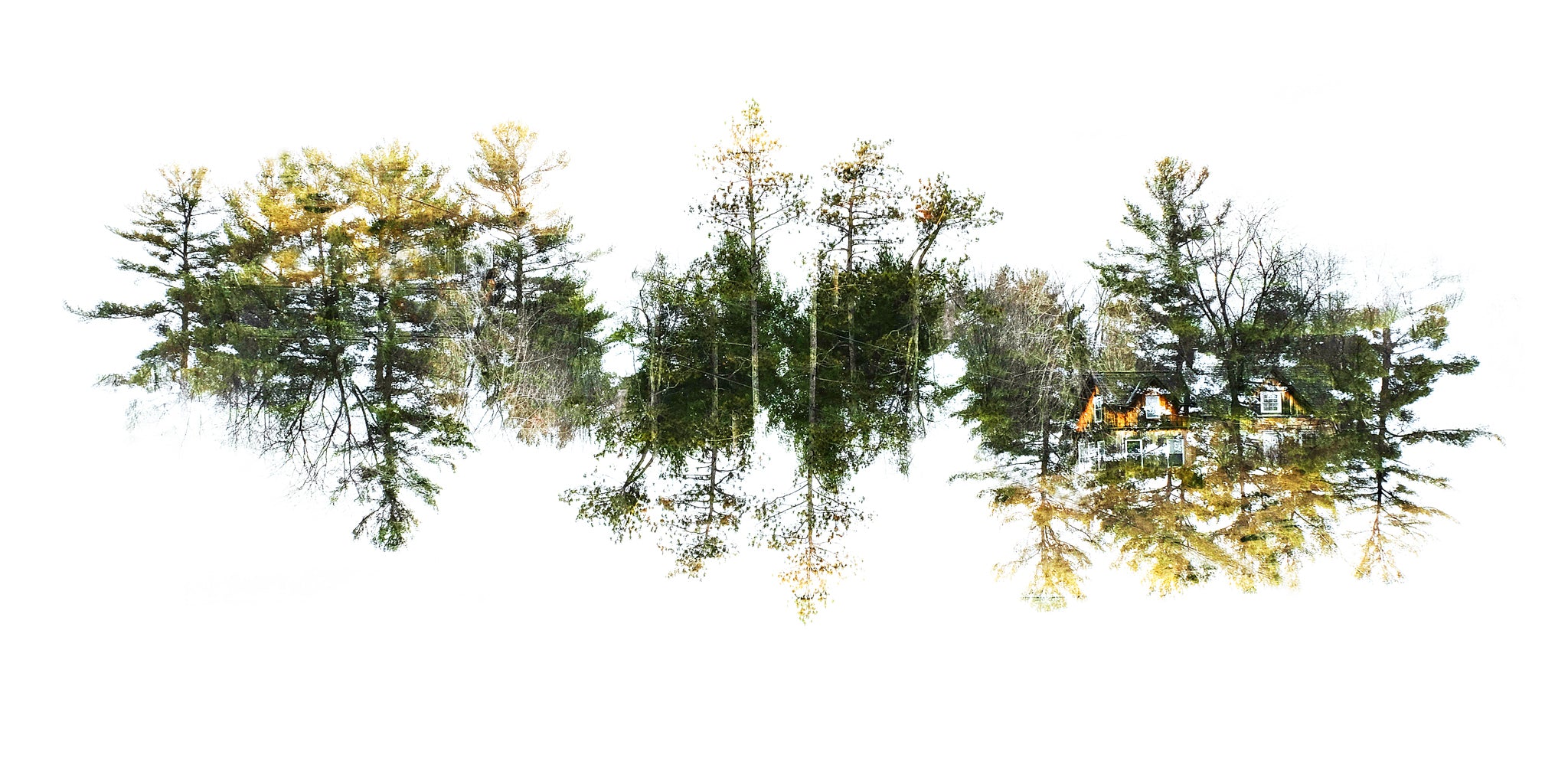 'Hiding Place' - Inverted Double Exposure