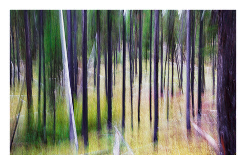 'Emerald Forest II' - Intentional Camera Movement